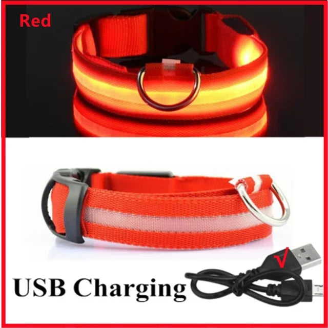LED Glowing Dog Collar – Adjustable, USB Rechargeable, Night‑Safety Anti‑Lost Design for Dogs