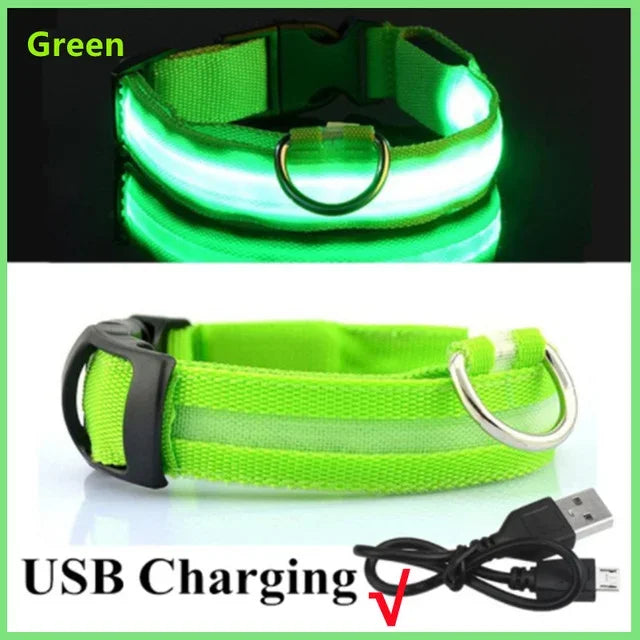 LED Glowing Dog Collar – Adjustable, USB Rechargeable, Night‑Safety Anti‑Lost Design for Dogs