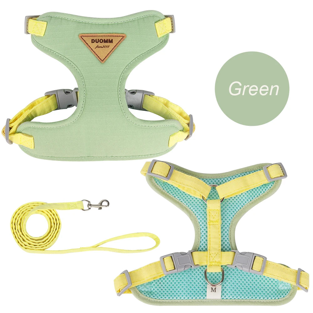 MaisonVerde® Breathable Pet Harness & Leash Set – Adjustable Outdoor Walking Kit for Cats & Small Dogs | Soft Padded & Feather Decor Design
