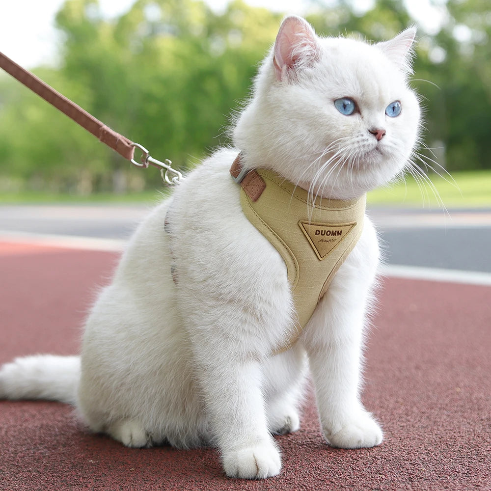 MaisonVerde® Breathable Pet Harness & Leash Set – Adjustable Outdoor Walking Kit for Cats & Small Dogs | Soft Padded & Feather Decor Design