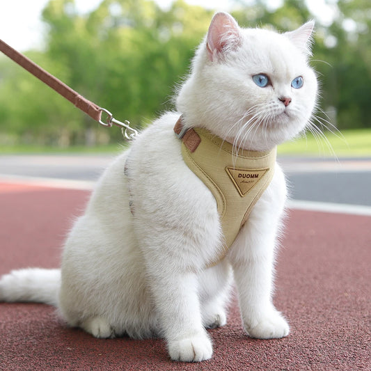 MaisonVerde® Breathable Pet Harness & Leash Set – Adjustable Outdoor Walking Kit for Cats & Small Dogs | Soft Padded & Feather Decor Design
