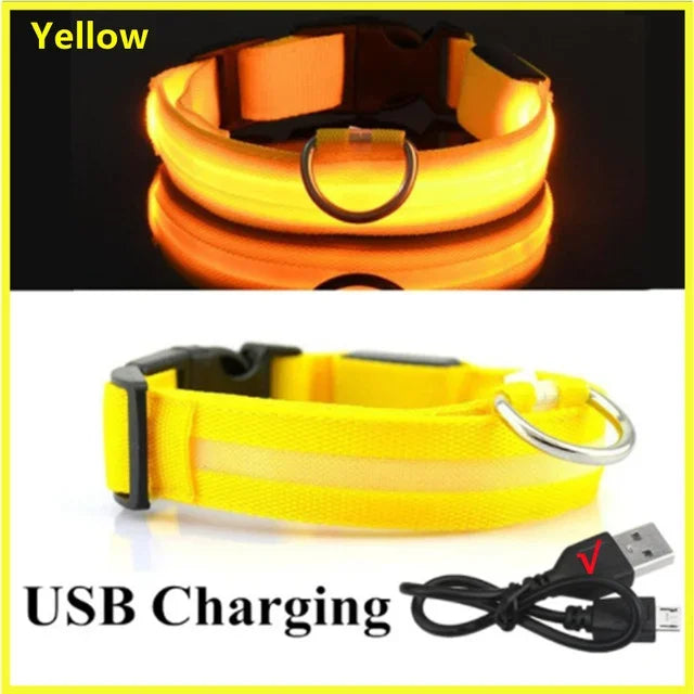 LED Glowing Dog Collar – Adjustable, USB Rechargeable, Night‑Safety Anti‑Lost Design for Dogs