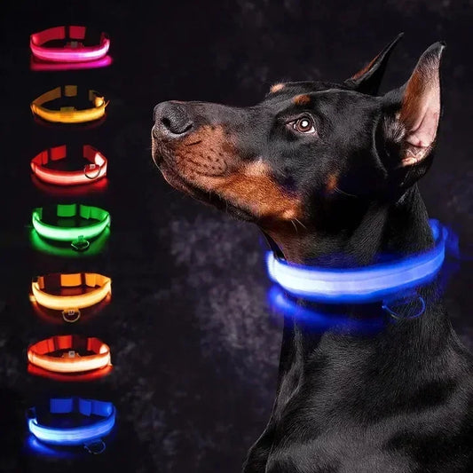LED Glowing Dog Collar – Adjustable, USB Rechargeable, Night‑Safety Anti‑Lost Design for Dogs