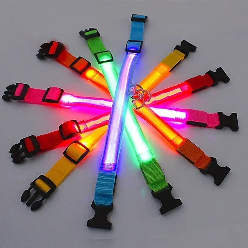 LED Glowing Dog Collar – Adjustable, USB Rechargeable, Night‑Safety Anti‑Lost Design for Dogs