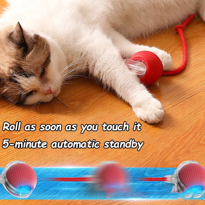 SmartPounce™ Interactive Cat Ball – Rechargeable, Auto-Rolling, Faux Tail, Silent, Silicone | MaisonVerde