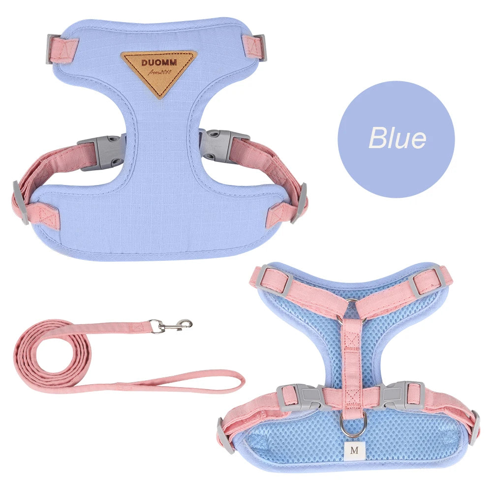 MaisonVerde® Breathable Pet Harness & Leash Set – Adjustable Outdoor Walking Kit for Cats & Small Dogs | Soft Padded & Feather Decor Design