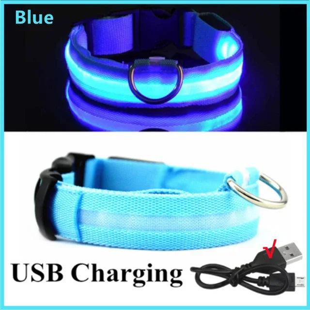 LED Glowing Dog Collar – Adjustable, USB Rechargeable, Night‑Safety Anti‑Lost Design for Dogs
