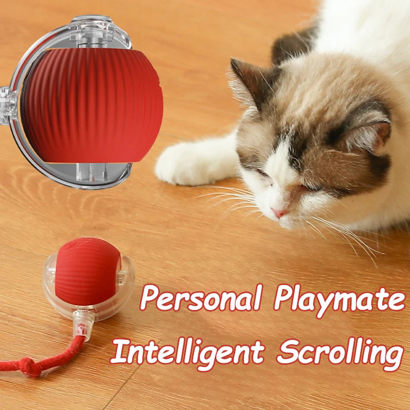 SmartPounce™ Interactive Cat Ball – Rechargeable, Auto-Rolling, Faux Tail, Silent, Silicone | MaisonVerde