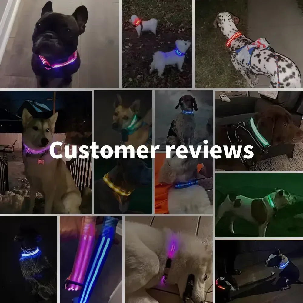 LED Glowing Dog Collar – Adjustable, USB Rechargeable, Night‑Safety Anti‑Lost Design for Dogs