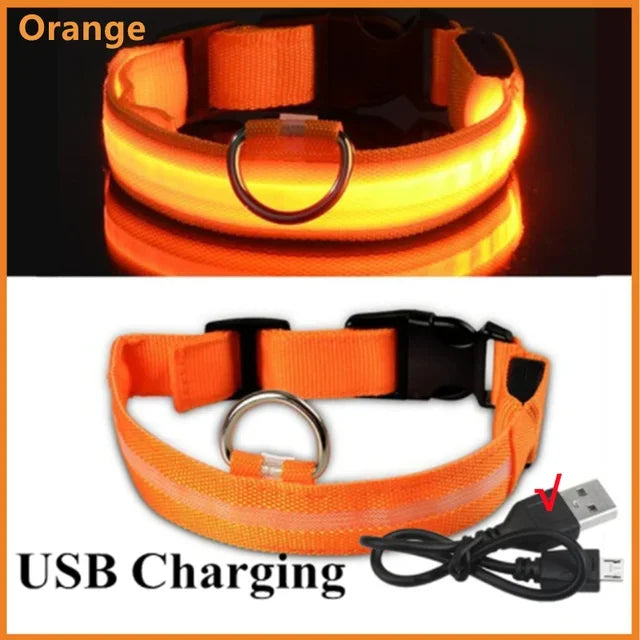 LED Glowing Dog Collar – Adjustable, USB Rechargeable, Night‑Safety Anti‑Lost Design for Dogs