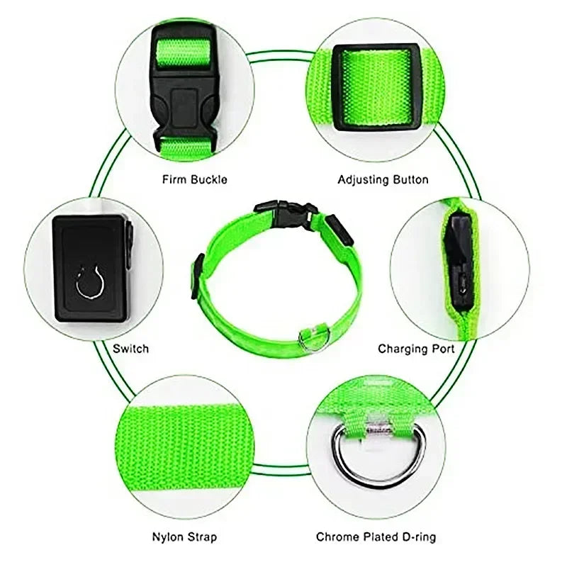 LED Glowing Dog Collar – Adjustable, USB Rechargeable, Night‑Safety Anti‑Lost Design for Dogs