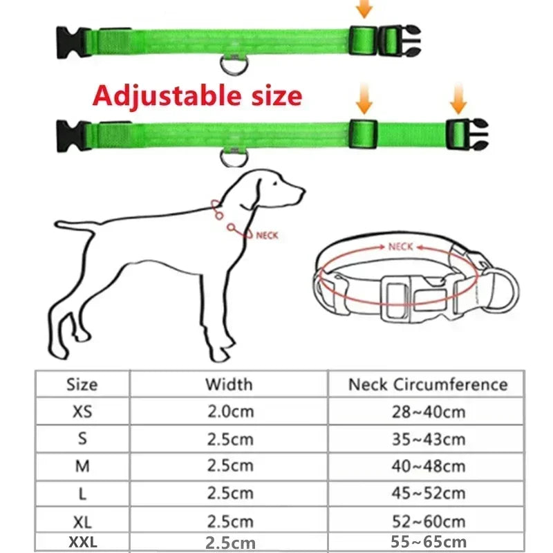 LED Glowing Dog Collar – Adjustable, USB Rechargeable, Night‑Safety Anti‑Lost Design for Dogs