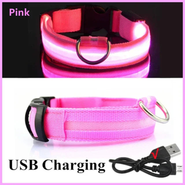 LED Glowing Dog Collar – Adjustable, USB Rechargeable, Night‑Safety Anti‑Lost Design for Dogs