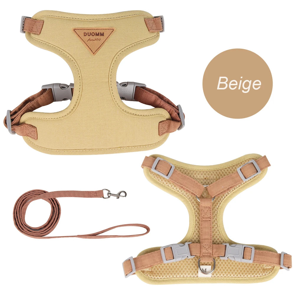 MaisonVerde® Breathable Pet Harness & Leash Set – Adjustable Outdoor Walking Kit for Cats & Small Dogs | Soft Padded & Feather Decor Design