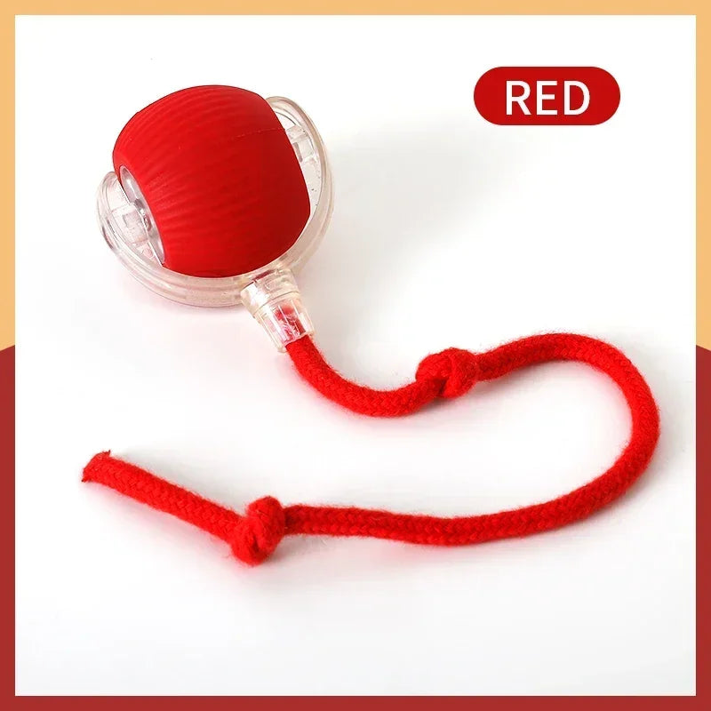 SmartPounce™ Interactive Cat Ball – Rechargeable, Auto-Rolling, Faux Tail, Silent, Silicone | MaisonVerde