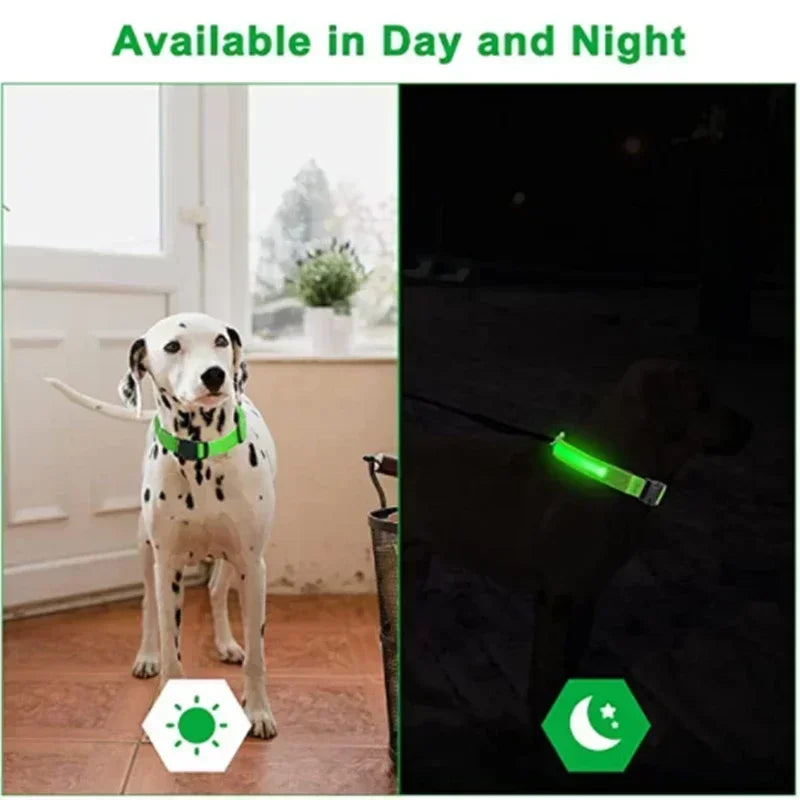 LED Glowing Dog Collar – Adjustable, USB Rechargeable, Night‑Safety Anti‑Lost Design for Dogs