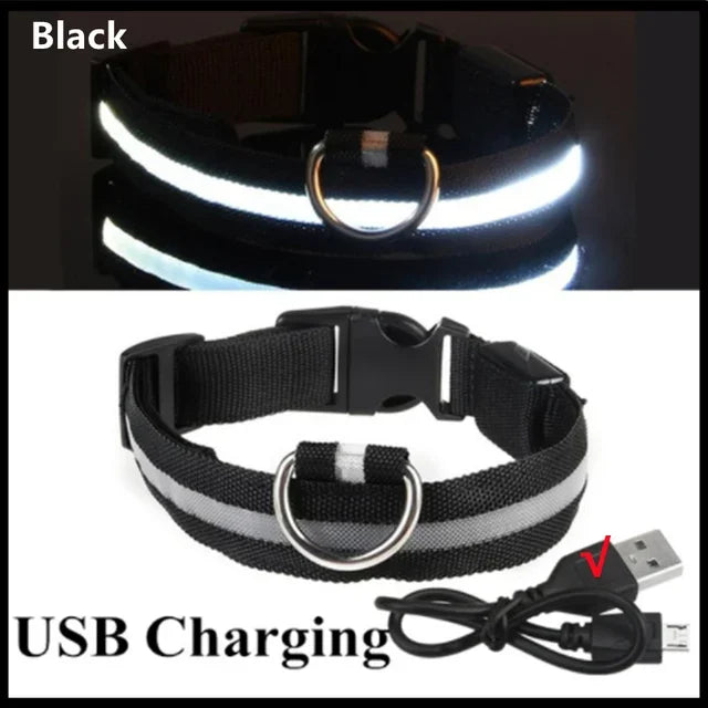 LED Glowing Dog Collar – Adjustable, USB Rechargeable, Night‑Safety Anti‑Lost Design for Dogs