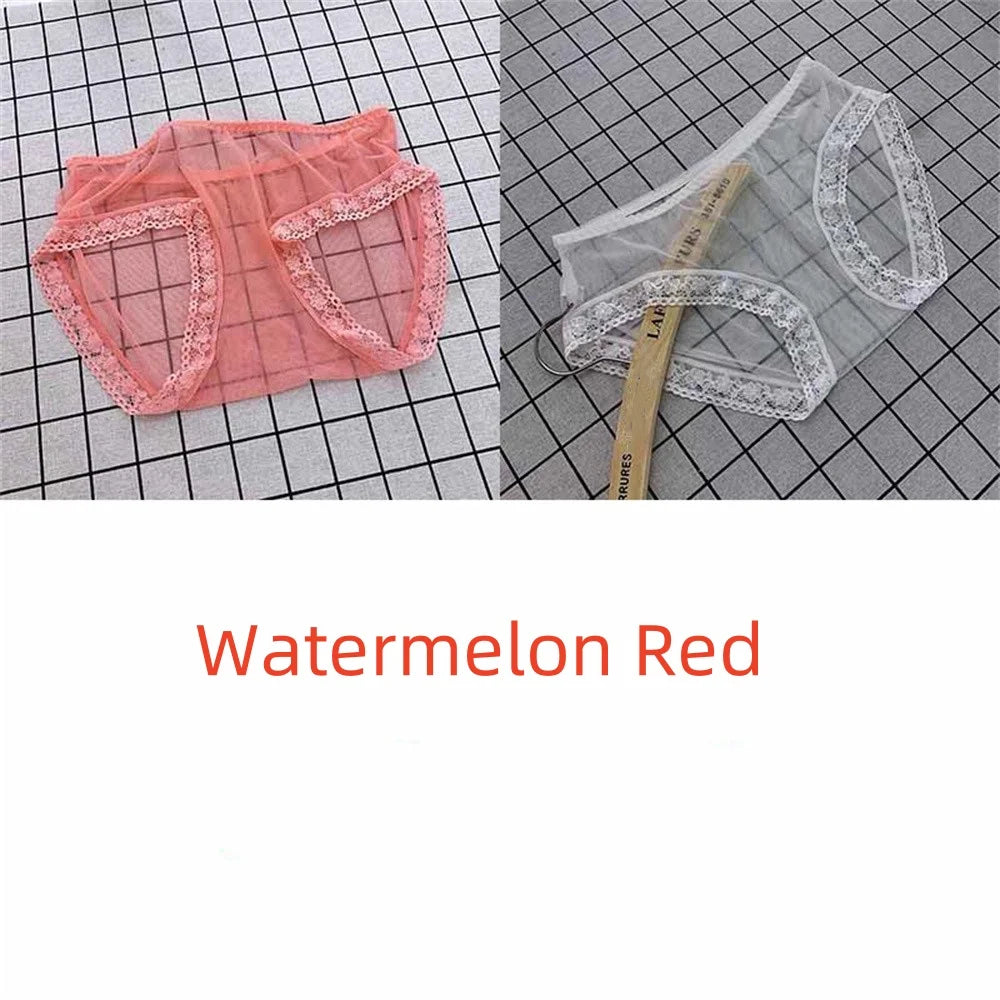 MaisonVerde® Sheer Mesh Seamless Briefs – Quick-Dry Transparent Low-Rise Panties for Women | Lightweight, Breathable, Sexy Underwear