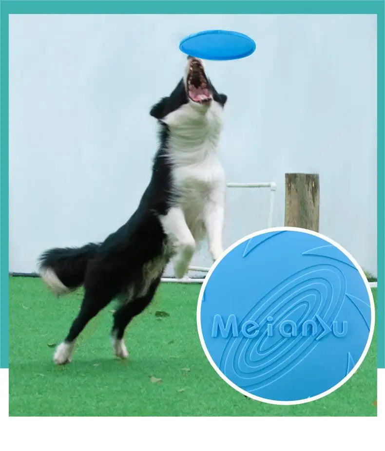 Durable Dog Frisbee – Bite-Resistant Flying Disc for Training & Outdoor Play